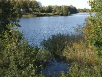 NL, Noord-Brabant, 's Hertogenbosch, De Pettelaar 9, Saxifraga-Jan van der Straaten